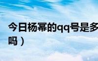 今日杨幂的qq号是多少真正的（杨幂有QQ号吗）