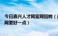 今日嘉兴人才网官网招聘（嘉兴人事人才人才人力哪个招聘网更好一点）