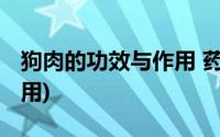 狗肉的功效与作用 药用价值(狗肉的功效与作用)