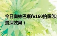 今日奥林巴斯fe160拍照怎么样（奥林巴斯FE320怎么拍出景深效果）