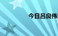 今日吕良伟演的电视剧。