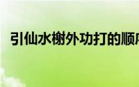 引仙水榭外功打的顺序(引仙水榭外功顺序)