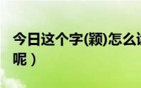 今日这个字(颖)怎么读（‘’颖‘’字怎么读呢）