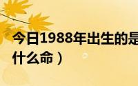 今日1988年出生的是啥命人（1988年生人是什么命）