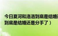 今日夏河和洛洛到底是结婚还是分手了第几集（夏河和洛洛到底是结婚还是分手了）