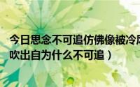 今日思念不可追仿佛像被冷风吹（往事不可追,回忆好像冷风吹出自为什么不可追）