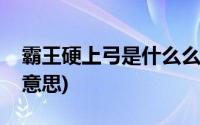 霸王硬上弓是什么么意思(霸王硬上弓是什么意思)