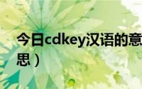 今日cdkey汉语的意思（CDKEY这是什么意思）