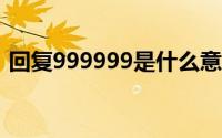 回复999999是什么意思(99999是什么意思)