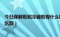 今日保鲜柜和冷藏柜有什么区别图（保鲜柜和冷藏柜有什么区别）