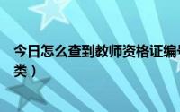 今日怎么查到教师资格证编号（怎么查教师资格证编号和种类）