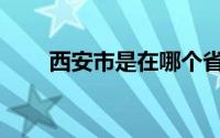 西安市是在哪个省(西安市是哪个省)