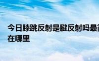 今日膝跳反射是腱反射吗最简单的反射弧只有一个突触吗它在哪里