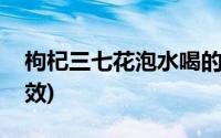 枸杞三七花泡水喝的功效(三七花泡水喝的功效)