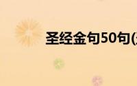 圣经金句50句(圣经金句大全5)