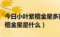 今日小叶紫檀金星多就不是泥料了吗（小叶紫檀金星是什么）