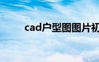 cad户型图图片初学者(cad户型图)