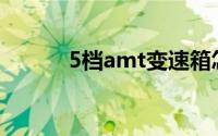 5档amt变速箱怎么样(5挡amt)