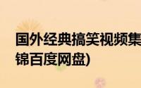 国外经典搞笑视频集锦(国外搞笑视频大全集锦百度网盘)