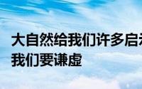 大自然给我们许多启示成熟的稻穗低着头启示我们要谦虚