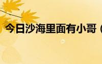 今日沙海里面有小哥（沙海4里有讲小哥吗）