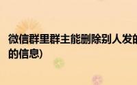 微信群里群主能删除别人发的信息吗(微信群主能删除别人发的信息)