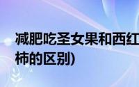 减肥吃圣女果和西红柿的区别(圣女果和西红柿的区别)