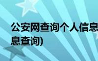 公安网查询个人信息驾驶证查询(个人驾照信息查询)