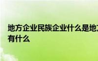 地方企业民族企业什么是地方企业什么是民族企业它们之间有什么