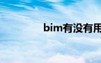 bim有没有用(bim有用吗)