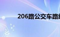 206路公交车路线(206路公交车)