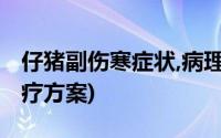 仔猪副伤寒症状,病理及治疗(仔猪副伤寒及治疗方案)