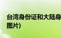 台湾身份证和大陆身份证一样吗(台湾身份证图片)