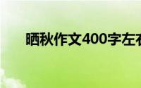 晒秋作文400字左右五年级(晒秋作文)