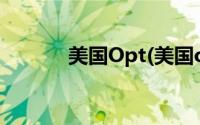 美国Opt(美国opt是什么意思)