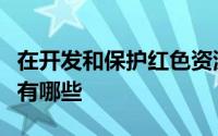 在开发和保护红色资源工作中存在问题和不足有哪些