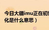 今日大疆imu正在初始化（大疆imu正在初始化是什么意思）