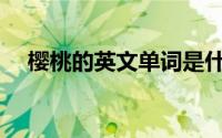 樱桃的英文单词是什么意思(樱桃的英文)