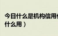 今日什么是机构信用代码（机构信用代码证有什么用）