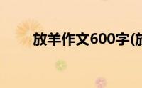 放羊作文600字(放羊人日羊的短文)