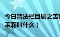 今日普法栏目剧之苦窑（普法栏目剧苦窑演员茉莉叫什么）