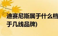 迪赛尼斯属于什么档次几线品牌(迪赛尼斯属于几线品牌)