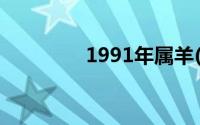 1991年属羊(1991年属相)