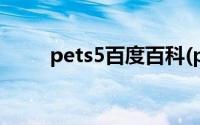 pets5百度百科(pets5是什么意思)