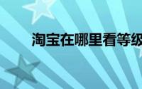 淘宝在哪里看等级(淘宝等级在哪看)