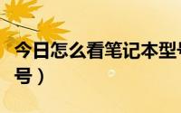 今日怎么看笔记本型号惠普（怎么看笔记本型号）