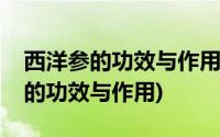 西洋参的功效与作用适合哪些人失眠(西洋参的功效与作用)