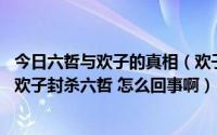 今日六哲与欢子的真相（欢子和六哲是什么关系啊还有 听到欢子封杀六哲 怎么回事啊）