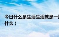 今日什么是生活生活就是一堆堆的麻烦（什么是生活生活是什么）