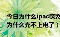 今日为什么ipad突然充不上电了（我的ipad为什么充不上电了）